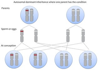 In Autosomal Dominant Inheritance Asp Page